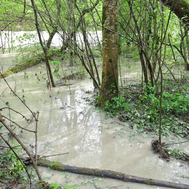 Überschwemmung in der Wilerau.