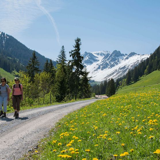 Foto Zwei Frauen wandern dem Weg entlang, im Hintergrund verschneite Bergspitzen - zum Foto