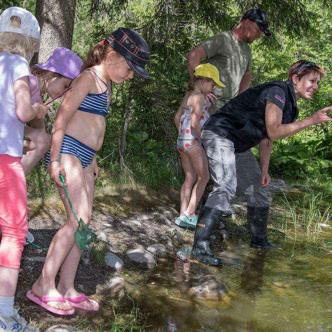 Foto Umweltbildung auf dem Wasserspielplatz Gwunderwasser - zum Foto