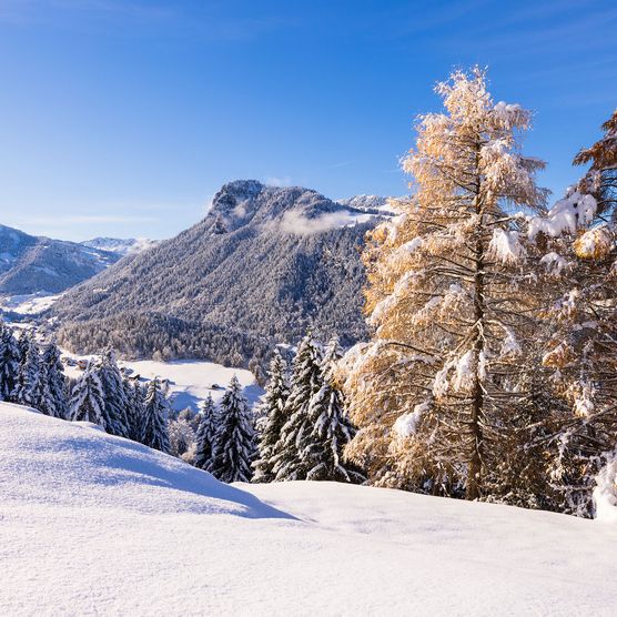 Weitsicht ab Springenboden - zum Foto
