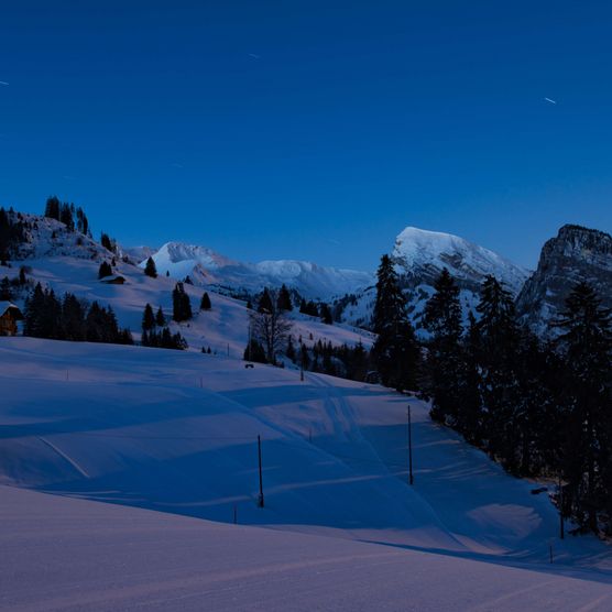 Picture Springenboden by night - to the picture