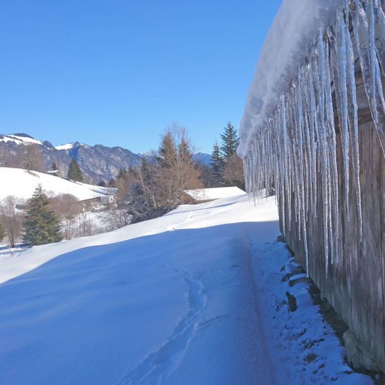 Foto Hütte mit riesigen Eiszapfen, die vom Dach herunterhängen - zum Foto