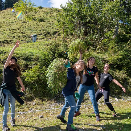Foto Schüler werfen übermütig Jungfichten in die Luft - zum Foto