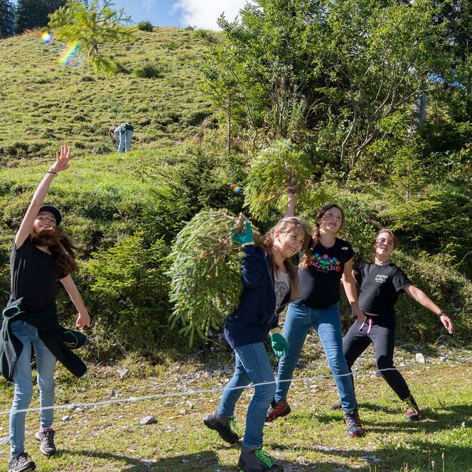Foto Schüler werfen übermütig Jungfichten in die Luft - zum Foto