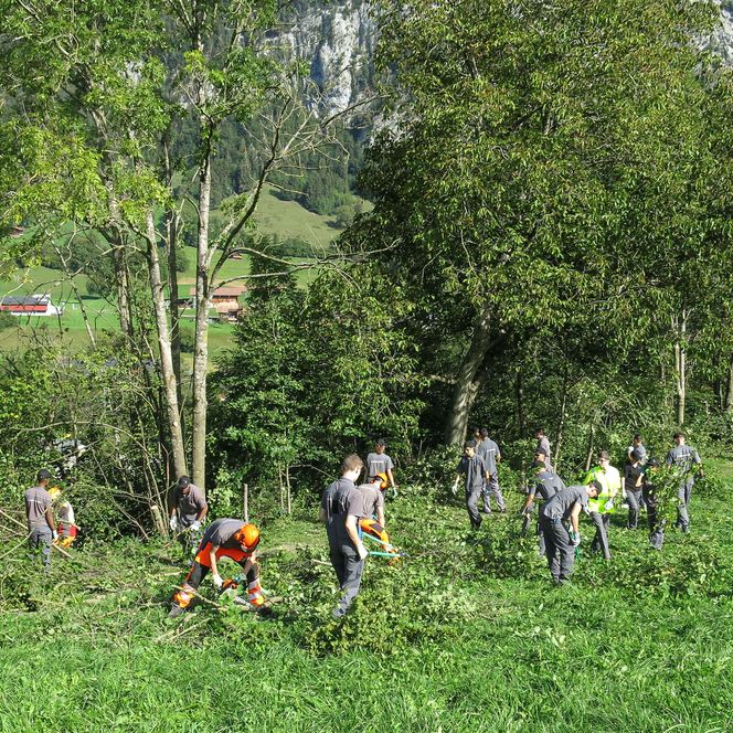 Foto Eine Gruppe Menschen lichtet eine Hecke aus - zum Foto