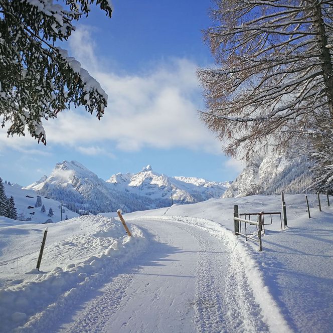 Foto Winterwanderweg mit den Bergen des Talabschlusses im Hintergrund - zum Foto