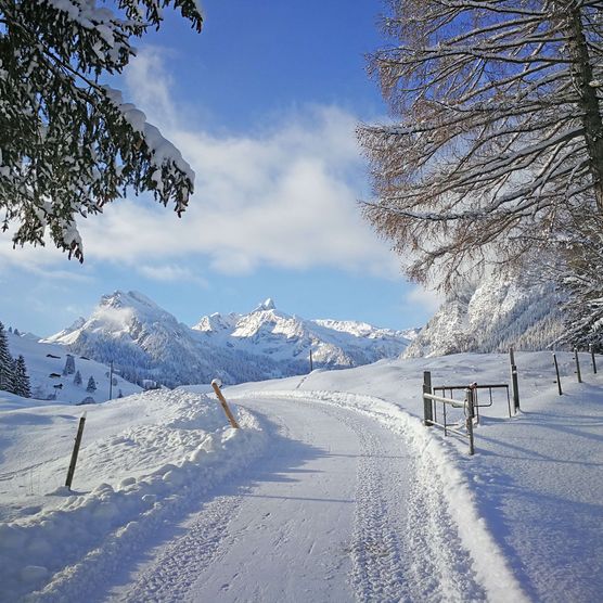 Foto Winterwanderweg mit den Bergen des Talabschlusses im Hintergrund - zum Foto