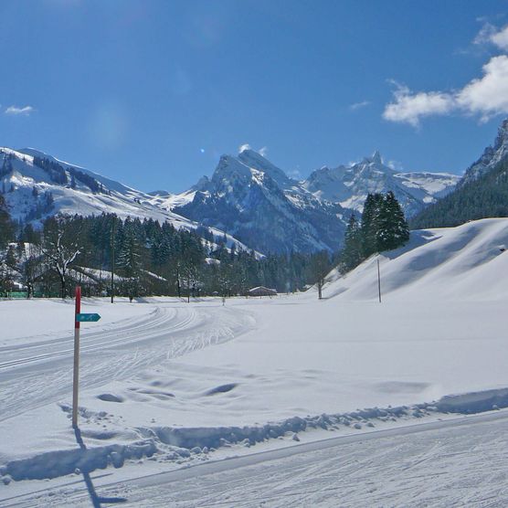 Photo Piste de ski de fond à l'arrière du Diemtigtal - voir la photo